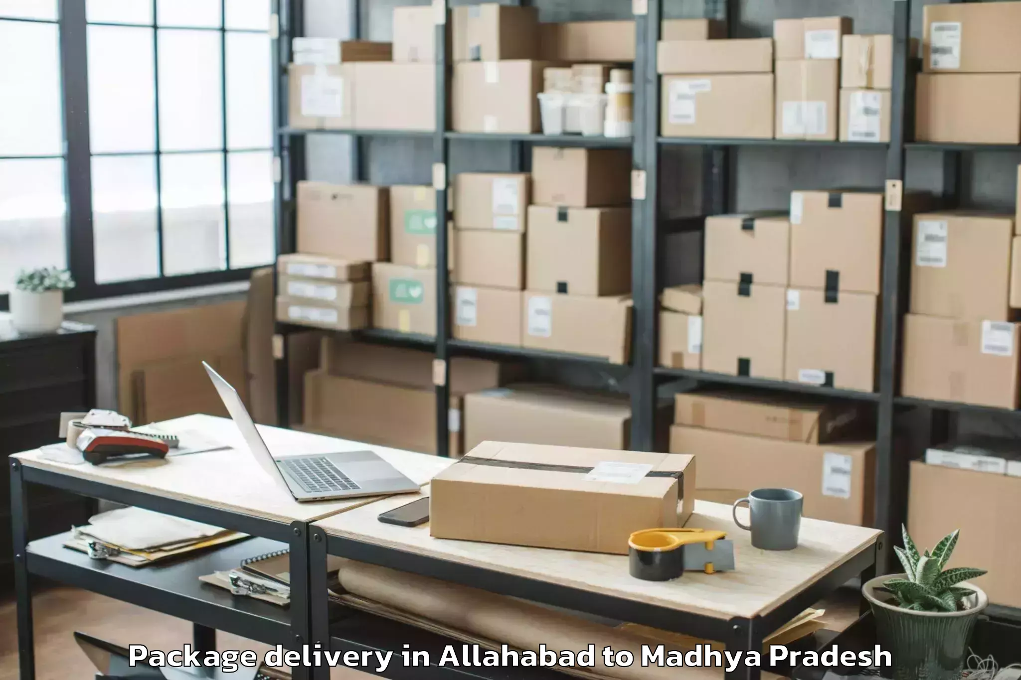 Allahabad to Guna Airport Gux Package Delivery Booking